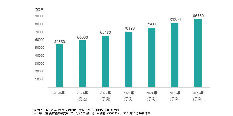 2021年度のMA/DMP市場